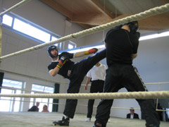 kickboxen showkampf profi amatuer kick